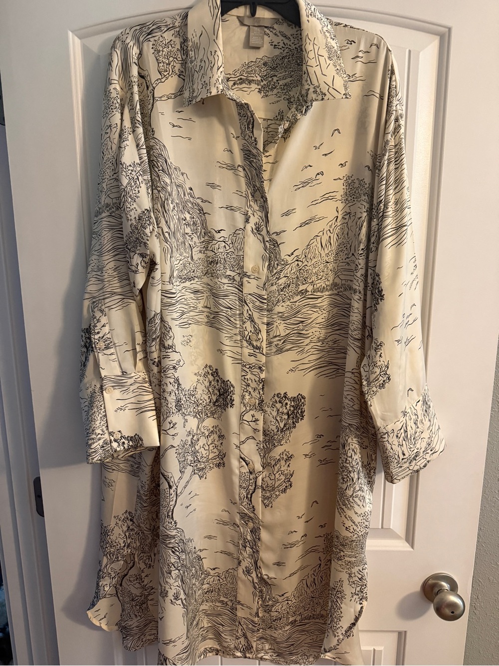 H&M Cream and Black Scenic Print Button-Down Tunic